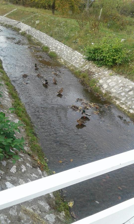 Riverside Apartman**** Μίσκολτς Εξωτερικό φωτογραφία