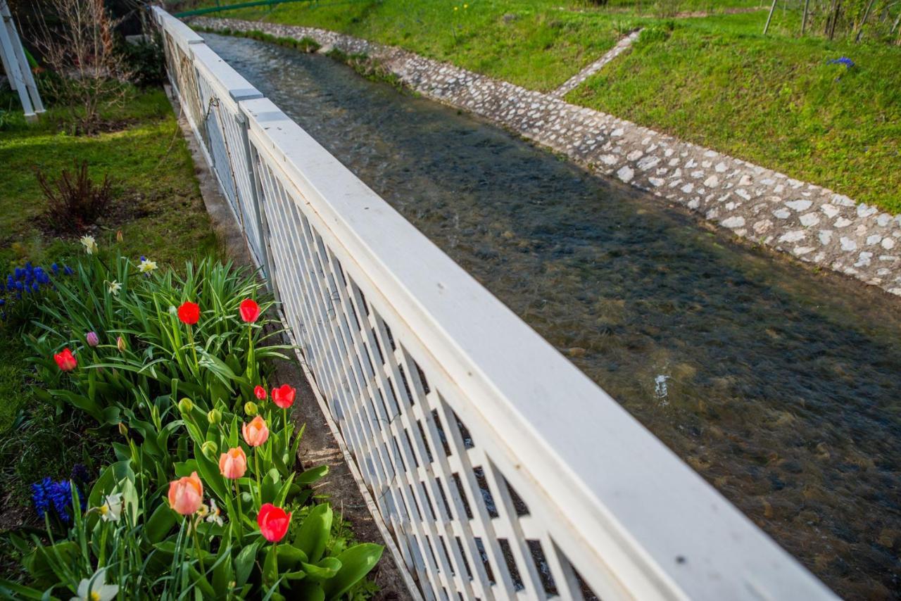 Riverside Apartman**** Μίσκολτς Εξωτερικό φωτογραφία